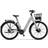 Ecoride Ambassador 4 Hub Disc White