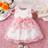 Shein Baby Girl Floral Embroidery Mesh Overlay Bow Front Dress