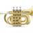 Classic Cantabile Brass TT-500 Bb-Taschentrompete Messing
