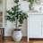 Ivyline Rustic Ceramic Grey Plant Pot