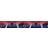 Marvel Spiderman Multicolour Border One Size
