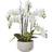 Hill Interiors Large White Orchid In Ceramic Pot