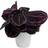 GardenersDream Star Indoor Plant 25-35cm Incl Pot