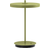 Umage Asteria Move Portable Leaf/Monochrome Table Lamp 30.6cm