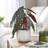 Dunelm Begonia in White Textured Plant Pot - Green Artificial Plant