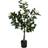 Home -Tex Kunstigt Rosentræ 110 cm Høj Med Hvide Roser Kunstig plante