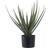 House Nordic Aloe Vera Konstträd Höjd 51cm Grön Konstgjord växt