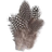 Panduro Hobby Pärlhönsfjäder 3-10 cm natur