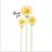 Woodmansterne Happy Flowers Thank You Card