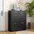 Homcom Slim Cabinet with 2 Flip Drawers for 12 Pairs of Shoes Black Shoe Rack 80x91.5cm