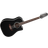 Takamine EF381SC