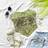 Shein Soleia Women's Moss Green Jacquard Knit Embroidered Floral Cropped Camisole Top - Moss Green