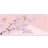 X-raypad Aqua Control II XXL Sakura Pink