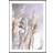 Posterbox Pampas Grass Multicolour Poster 30x40cm