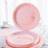 Shein Disposable Dinner Plates 10 Pcs 7/9 Inch Pink And Rose Gold