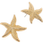 Accessorize Statement Starfish Stud Earrings - Gold