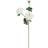 Hill Interiors Natural Garden Collection White Ranunculus 64cm H x 12cm W x 7cm D Artificial Plant
