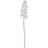 Hill Interiors Tall White Butterfly Orchid Flower L11 x W11 x H103 cm Artificial Plant