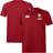 Canterbury Mens British Irish Lions Polo Shirt - Red