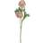 Hill Interiors Pink Ranunculus 50cm H x 12cm W x 12cm D Artificial Plant
