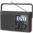 DreamSky Portable Shortwave Radio