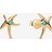 Pandora Starfish 14k Gold-Plated Stud Earrings - Turquoise