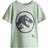 H&M Boys Printed Cotton T-shirt - Green