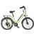 Eskute C100 with Rear Motor 375Wh 26"