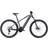Cube Reaction Hybrid Race 750 Electric MTB 29" - Gray/Metal