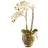Bloom Double Phalaenopsis White Orchid Flower in Vase H60cm x W30cm Artificial Plant