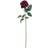 Hill Interiors Rose Flower Plastic L6 x W9 x H53 cm Deep Red Artificial Plant