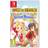 Story of Seasons Grand Bazaar Prismatch