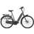 Gazelle Arroyo C8 HMB Elite 2023 - Dust Lightgloss