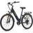 Eleglide T2 - Dark Grey Women's Bike