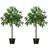 OutSunny Bay Laurel Green Artificial Plant 2pcs