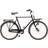 Skeppshult Nature 7-speed 2025 - Mirror Black Herrcykel