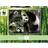 WWF Pandas 1000 Pieces