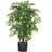 Leaf Ficus Large Bushy Shape Green Artificial Plant
