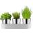 WMF Gourmet Indoor Herb Garden 3pcs