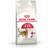 Royal Canin Cat Regular Fit 32 2kg