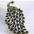 Shein Rhinestone Peacock Design Brooch