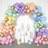 Shein Pastel Balloon Garland Kit 164pcs