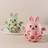 Shein Baby Teething Toys Silicone Rabbit Teether