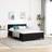 vidaXL LED mit Matratze Schwarz 160x200 cm Samt Boxspringbett
