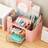 Shein Desktop Organizer With 2 Drawers 5-Compartment