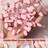 Shein Nail Art Brush Double Sided Chrome Pink