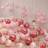 Shein Pink Latex Balloons Set 30pcs 10/12 Inch
