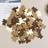 Shein Teddy Bear Paper Confetti 100 Pcs Pack
