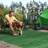 Shein Luxury Extra Large Artificial Grass Mat Green Lawn