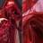 Shein Gradient Color Dark Organza Fabric 1pc Fabrics Red
